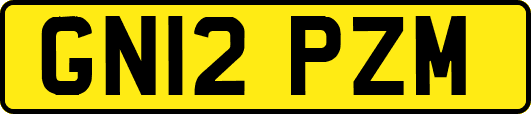 GN12PZM