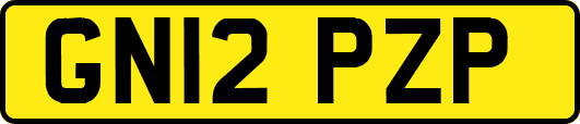 GN12PZP