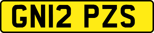 GN12PZS