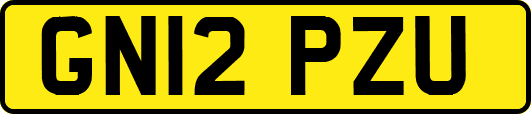 GN12PZU