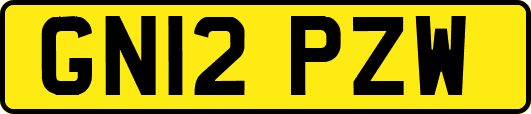 GN12PZW