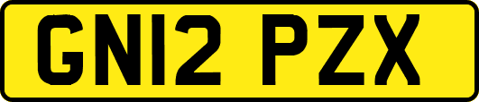 GN12PZX