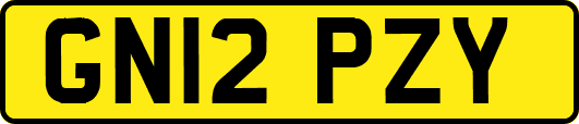 GN12PZY