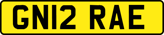 GN12RAE