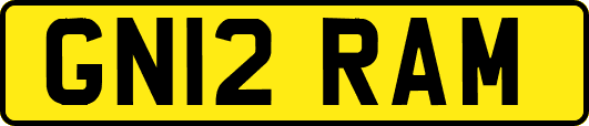 GN12RAM