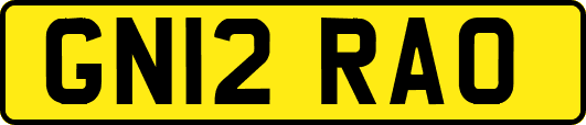 GN12RAO