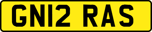 GN12RAS