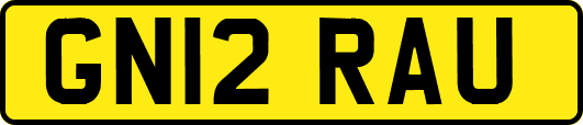 GN12RAU