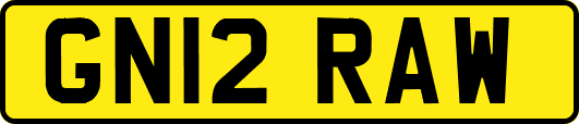 GN12RAW
