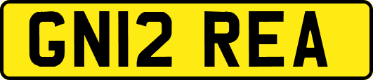 GN12REA