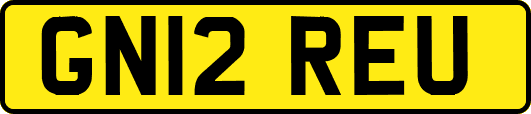 GN12REU