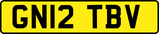 GN12TBV