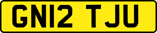 GN12TJU