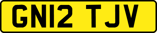 GN12TJV