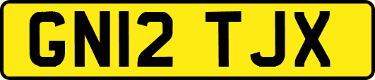 GN12TJX