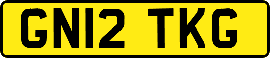 GN12TKG
