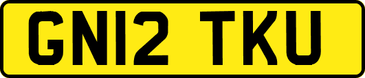 GN12TKU
