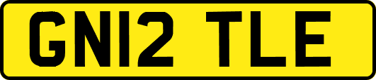 GN12TLE