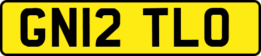 GN12TLO