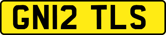 GN12TLS
