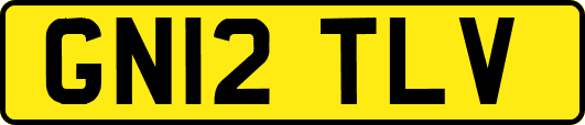 GN12TLV