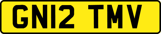 GN12TMV