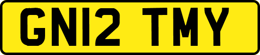 GN12TMY