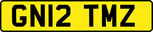 GN12TMZ