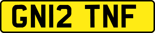 GN12TNF