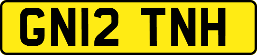 GN12TNH