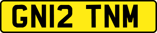 GN12TNM