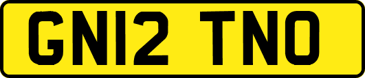 GN12TNO