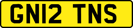 GN12TNS