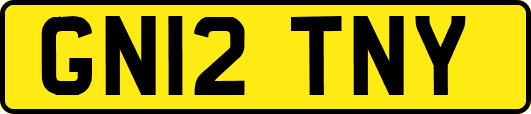 GN12TNY