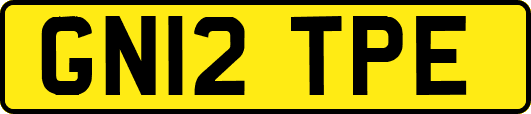 GN12TPE