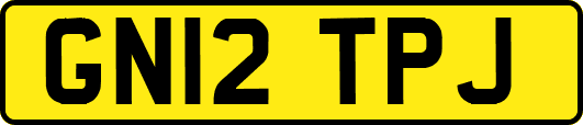 GN12TPJ