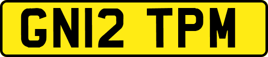 GN12TPM