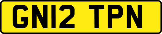 GN12TPN