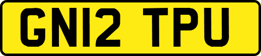 GN12TPU