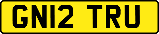 GN12TRU