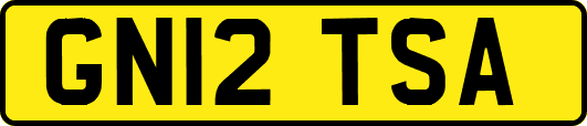 GN12TSA