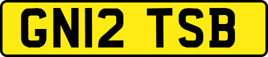 GN12TSB