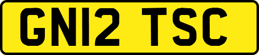 GN12TSC
