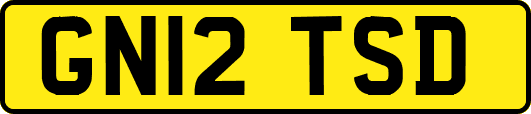GN12TSD