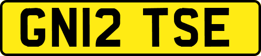 GN12TSE