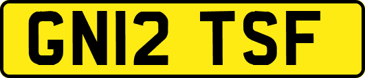 GN12TSF