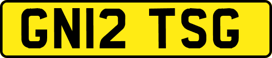 GN12TSG