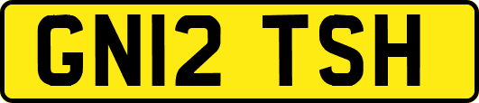 GN12TSH