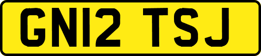 GN12TSJ