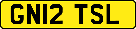 GN12TSL